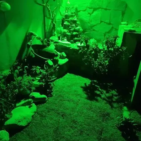 Angela's Place - Stomio Near The Sea Stomion (Corinthia)