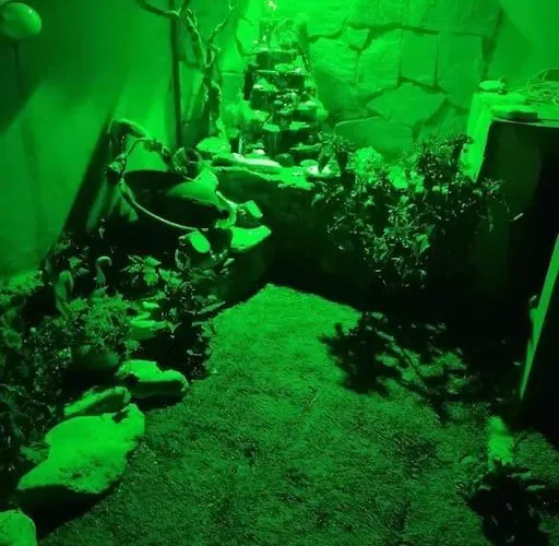 Angela's Place - Stomio Near The Sea Stomion (Corinthia)